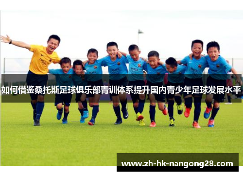 如何借鉴桑托斯足球俱乐部青训体系提升国内青少年足球发展水平